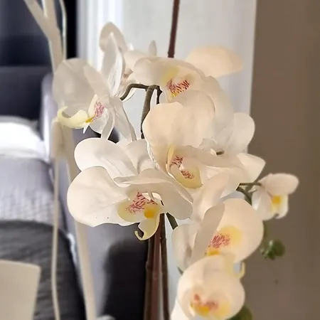 Centro Luxury 3* Pescara