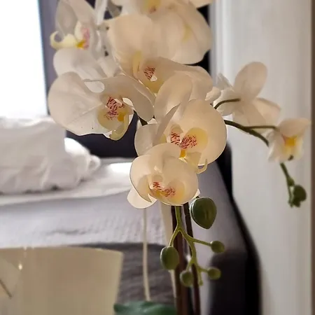 Centro Luxury Pescara